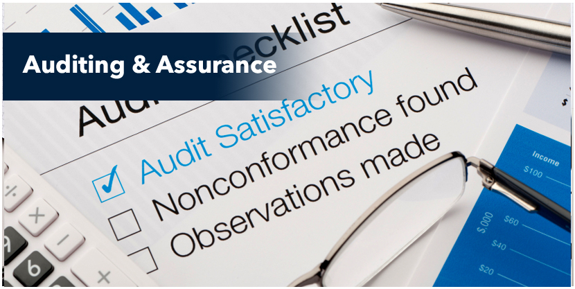 auditing and assurance services in australia ebook